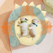 Load image into Gallery viewer, Dinosaur &amp; Whale Styled Pet Bed - San Frenchie
