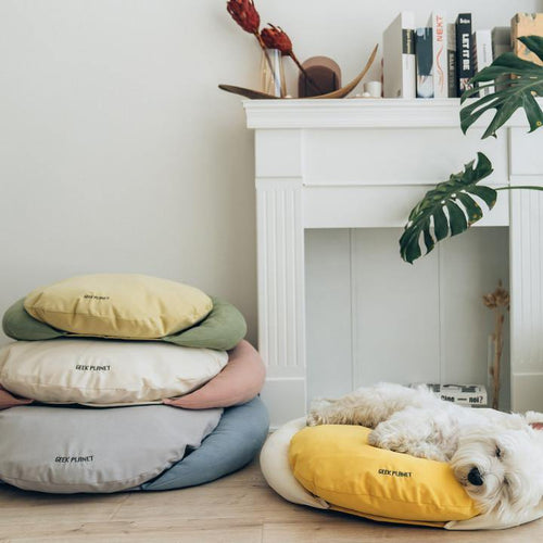 Adorable Warm Planet Pet Bed - San Frenchie