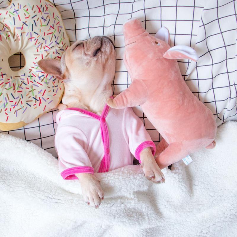 Fancy Pink Pet Sleeping Clothes - San Frenchie