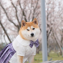 Load image into Gallery viewer, Japanese Style Pet JK Dress - San Frenchie
