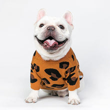 Load image into Gallery viewer, Hip-hop Leopard Print Pet Sweater - San Frenchie
