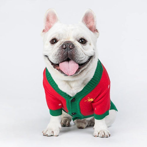 Christmas Tree Pet Sweater - San Frenchie