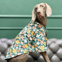 Load image into Gallery viewer, Hawaii Styled Flower Dog Shirt - San Frenchie
