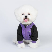 Load image into Gallery viewer, Double-sided Pet Jacket - San Frenchie
