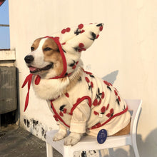 Load image into Gallery viewer, Cherry Velvet Pet Coat With Hat - San Frenchie
