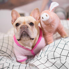 Load image into Gallery viewer, Fancy Pink Pet Sleeping Clothes - San Frenchie

