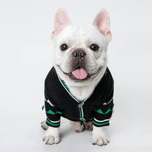Load image into Gallery viewer, Dinosaur Styled Warm Sweater - San Frenchie
