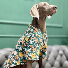 Load image into Gallery viewer, Hawaii Styled Flower Dog Shirt - San Frenchie
