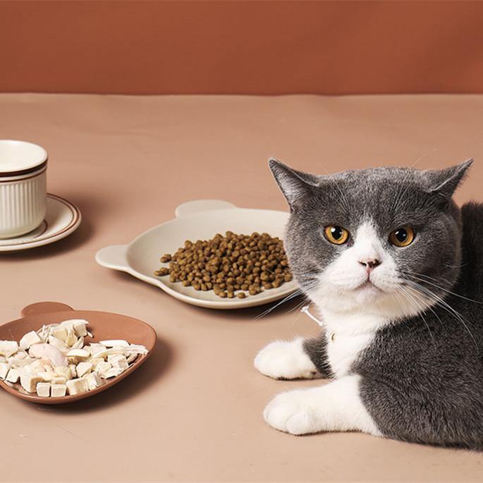 Cutie Bear Ceramic Cat Bowl & Plate Set - San Frenchie