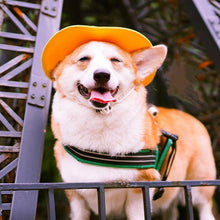 Load image into Gallery viewer, Custom Japanese Style Bow Shirt and Hat - San Frenchie
