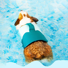 Load image into Gallery viewer, Heroic Captain Dog Swimming Safety Life Jacket - San Frenchie

