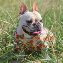 Load image into Gallery viewer, Floral Pet Summer Shirt - San Frenchie
