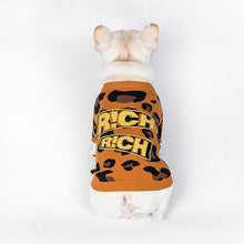Load image into Gallery viewer, Hip-hop Leopard Print Pet Sweater - San Frenchie

