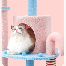 Load image into Gallery viewer, Colorful Candy Cat Climbing House - San Frenchie
