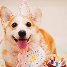 Load image into Gallery viewer, Happy Birthday Hat and Collar Set - San Frenchie
