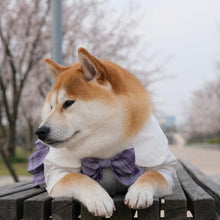 Load image into Gallery viewer, Japanese Style Pet JK Dress - San Frenchie
