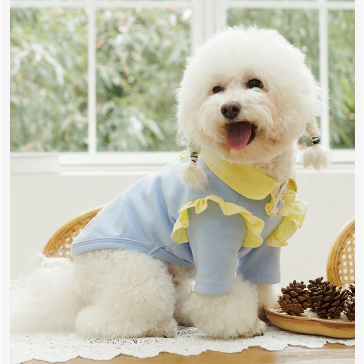 Cream Color Lace Pet Shirt - San Frenchie