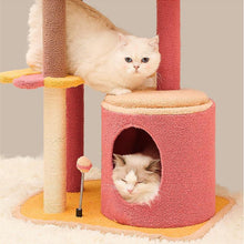 Load image into Gallery viewer, Calorie Cat Climbing Frame - San Frenchie
