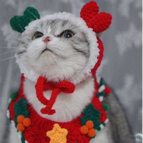Christmas Wreath Pet Bib and Hat Set - San Frenchie