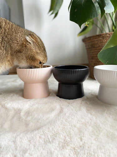 Elevated Anti-Slip Ceramic Cat Bowl - San Frenchie