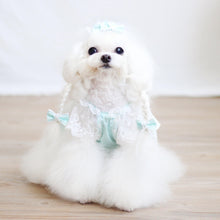 Load image into Gallery viewer, Everyone Loves Korean Style Lace Pet Dress - San Frenchie
