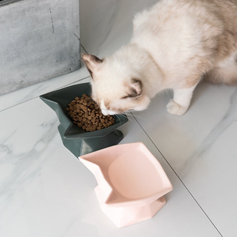Cat Head Design Pet Bowl