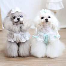 Load image into Gallery viewer, Everyone Loves Korean Style Lace Pet Dress - San Frenchie
