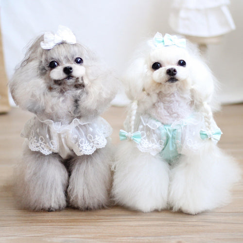 Everyone Loves Korean Style Lace Pet Dress - San Frenchie