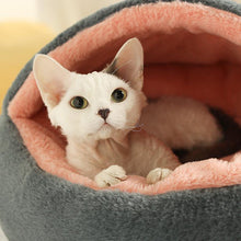 Load image into Gallery viewer, Dinosaur Series Cat Bed - San Frenchie
