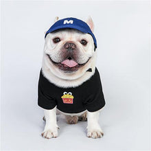 Load image into Gallery viewer, Everyday Basic Pet Cap - San Frenchie
