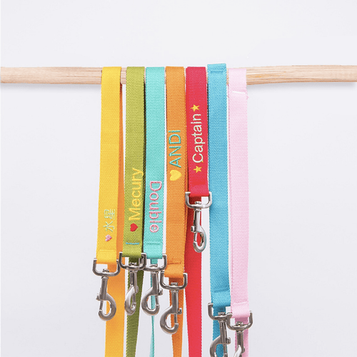 Personalized Leash - San Frenchie