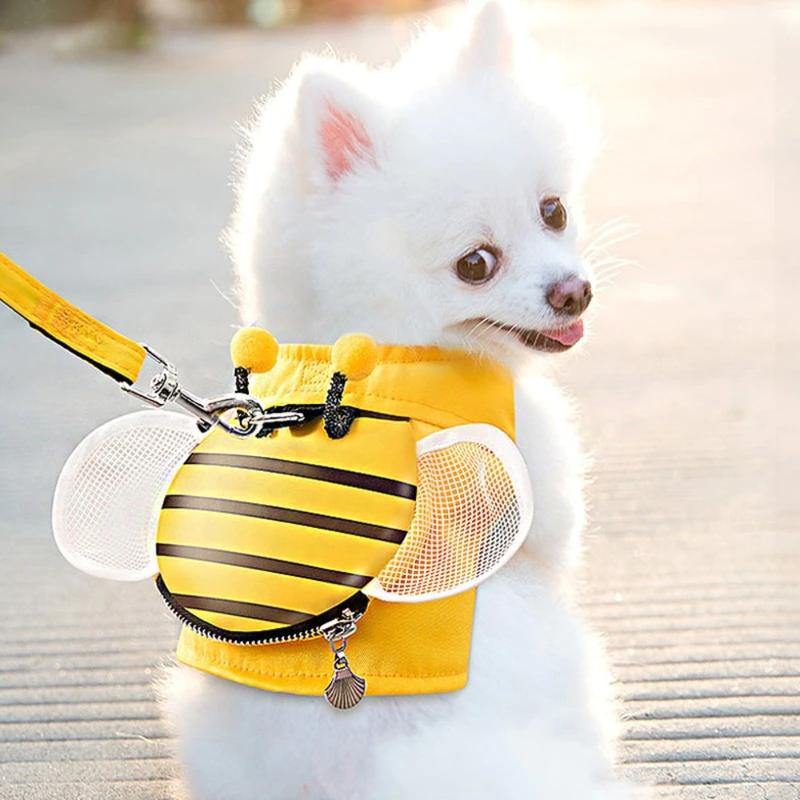 Bee Harness and Leash Set - Pet Halloween Costume - San Frenchie