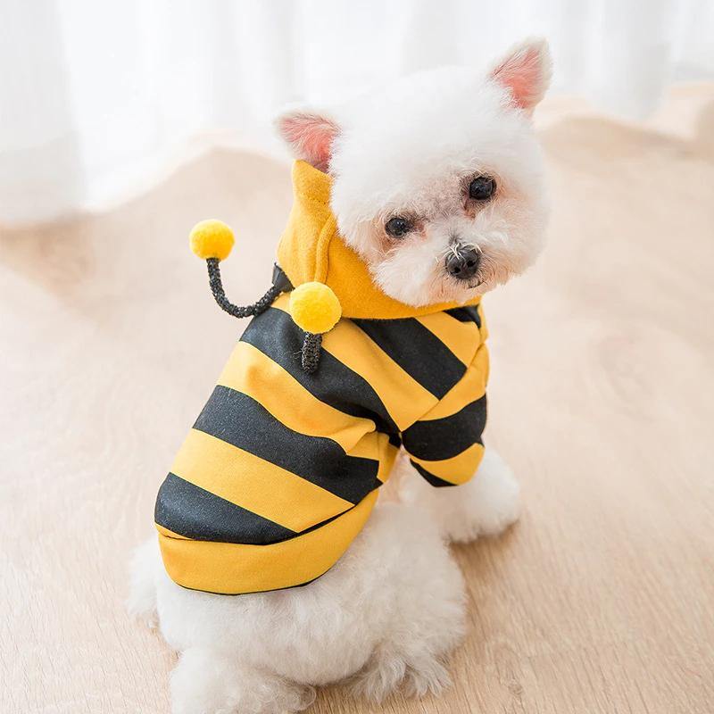 Bee hoodie -  Pet Halloween Costume - San Frenchie
