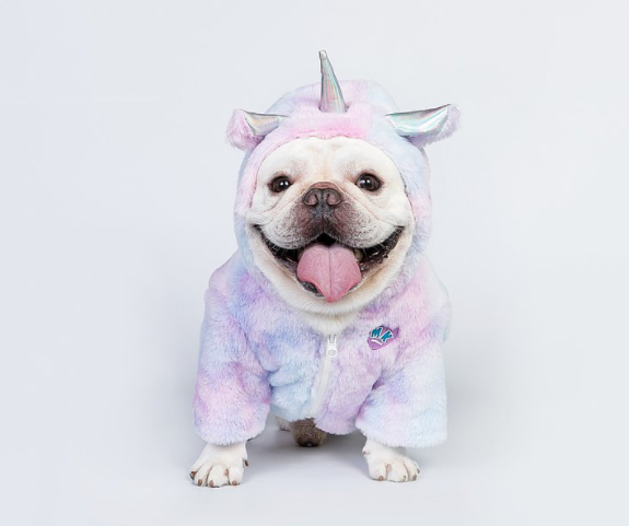 Unicorn Tie-Dyed Pet Coat