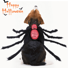 Load image into Gallery viewer, Sequined Spider - Pet Halloween Costume - San Frenchie
