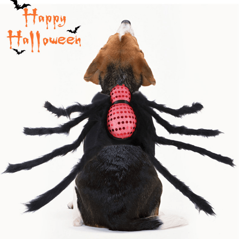 Sequined Spider - Pet Halloween Costume - San Frenchie