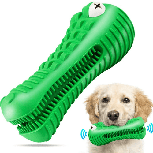 Crocodile Toothbrush and Chew Toy - San Frenchie