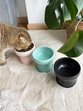 Load image into Gallery viewer, Elevated Anti-Slip Ceramic Cat Bowl - San Frenchie
