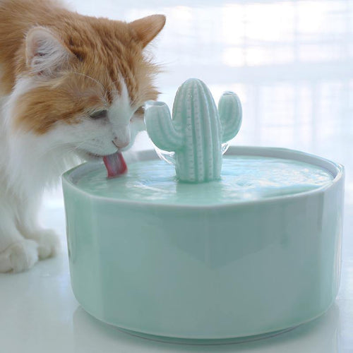 Cactus Style Cat Drinking Fountain - San Frenchie