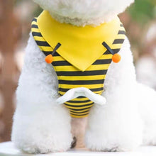 Load image into Gallery viewer, Adorable Bee Pet Harness - San Frenchie
