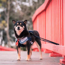 Load image into Gallery viewer, JK Series Pet Harness - San Frenchie

