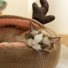 Load image into Gallery viewer, Dinosaur Series Cat Bed - San Frenchie
