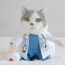 Load image into Gallery viewer, Doctor - Pet Halloween Costume - San Frenchie
