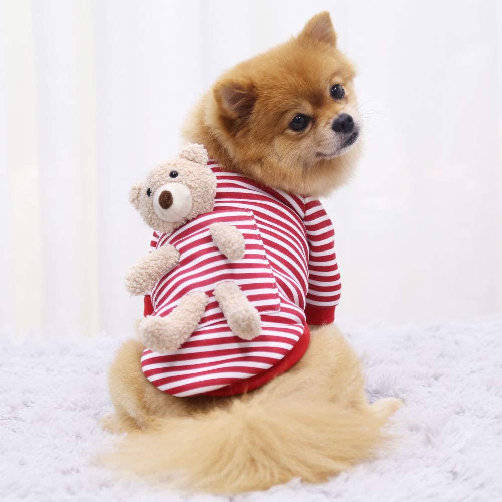 Pocket Teddy Bear Striped Dog Sweater Costume