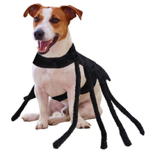 Load image into Gallery viewer, Spider costume for Small Dogs - Pet Halloween Costume - San Frenchie
