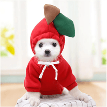 Load image into Gallery viewer, Cute Winter Pet Hoodie - San Frenchie
