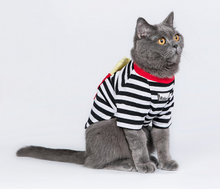 Load image into Gallery viewer, Stereo Fries Pet T-shirt
