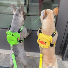 Load image into Gallery viewer, Backpack Harness Set - San Frenchie
