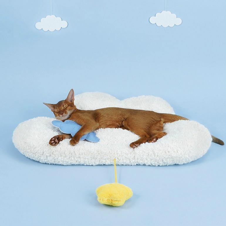Cloud Shaped Pet Sleeping Mat - San Frenchie