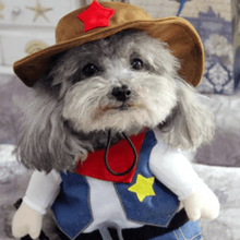 Load image into Gallery viewer, Cowboy -  Pet Halloween Costume - San Frenchie
